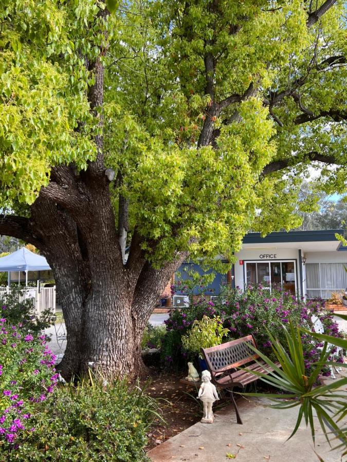 Sturt Motel Balranald Exteriör bild